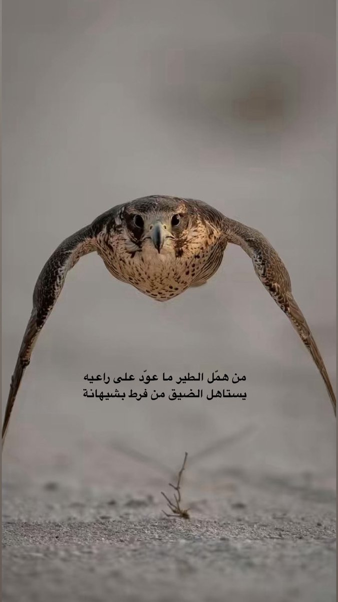 فزاع tweet media