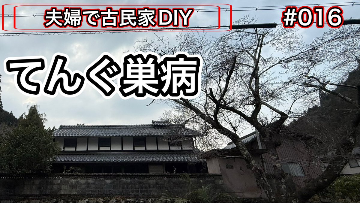 BiwakoDe's tweet photo. 【夫婦で古民家DIY】

本日２１時〜
宜しくお願いします🙇

https://t.co/cA4pX39bUz

#富川エスパーク　#古民家　#てんぐ巣病 https://t.co/fLK7b4ncfO