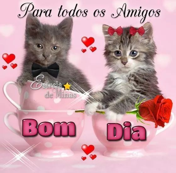 puta que pariu games tweet media