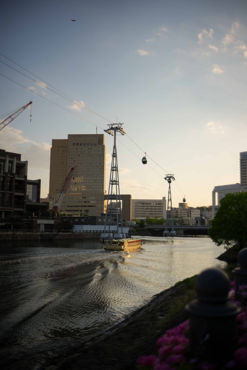 モンちやんんん tweet media