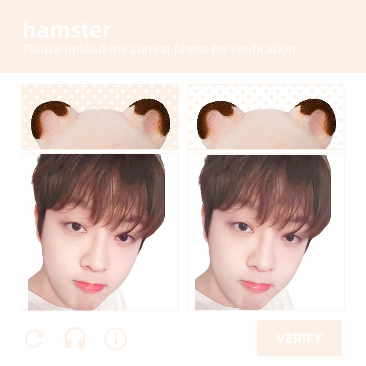 ʕ ◦`꒳´◦ʔ
#이태빈