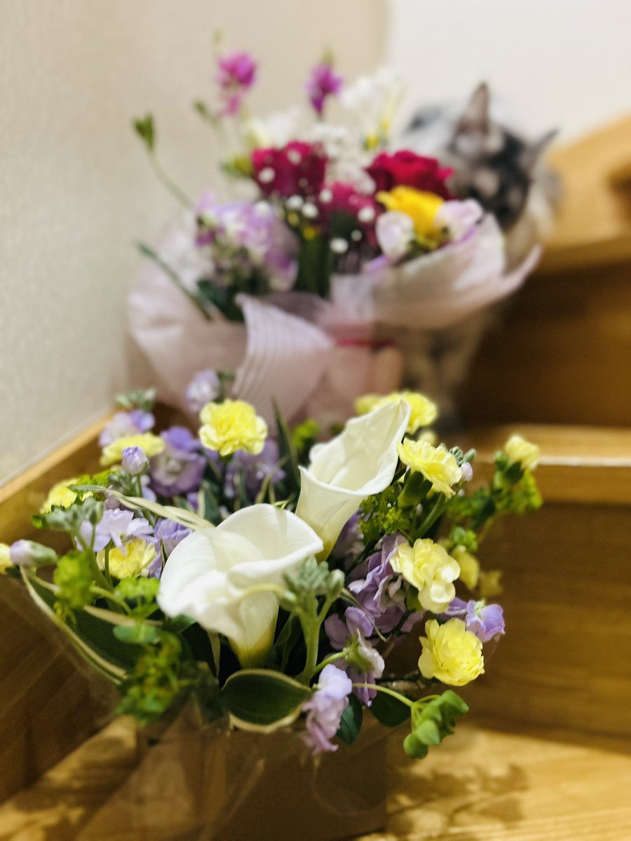 アンナ(言の葉の呼吸) tweet media