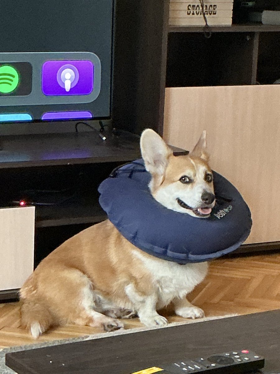 Евгеша tweet media