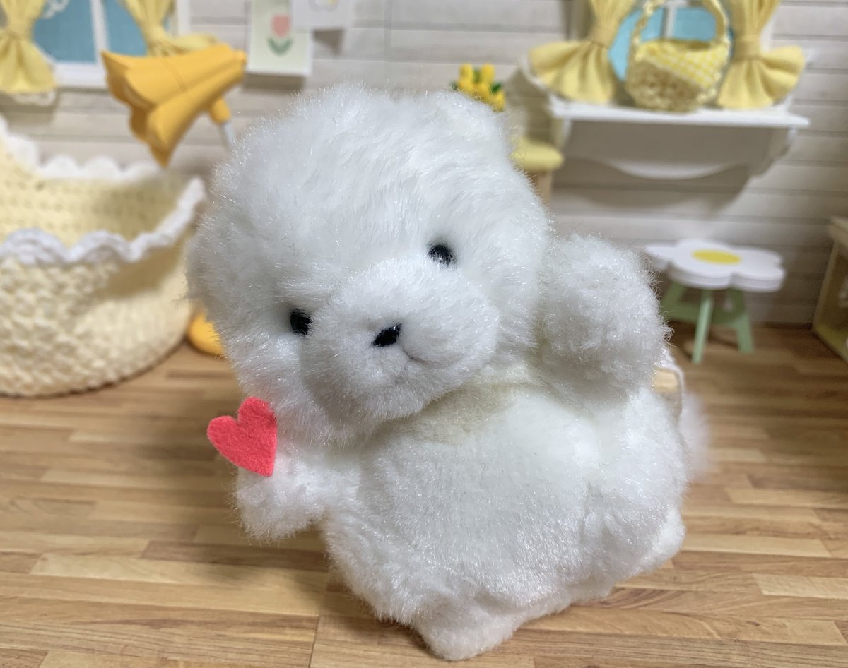 ぼん🎈 tweet media