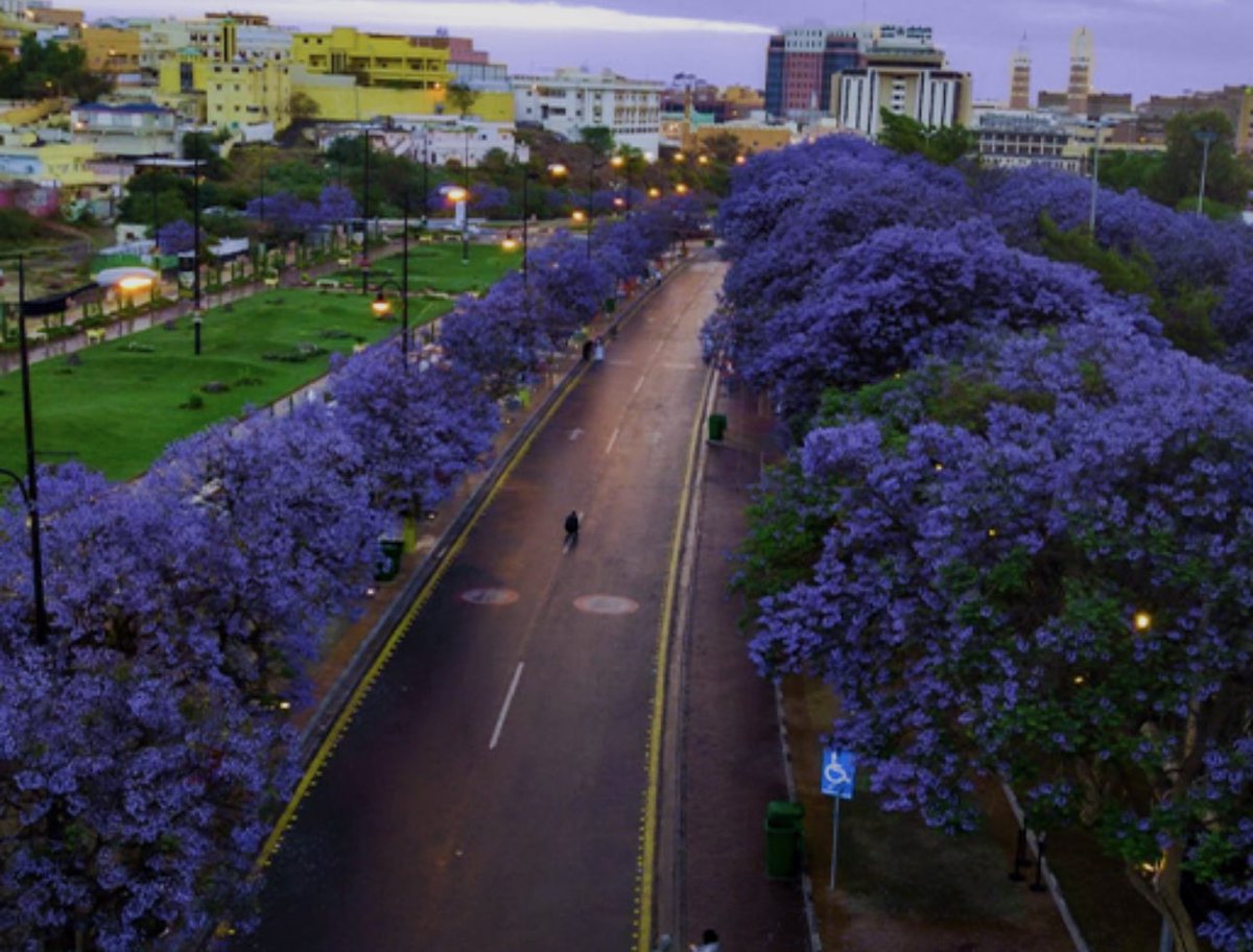 المملكة tweet media