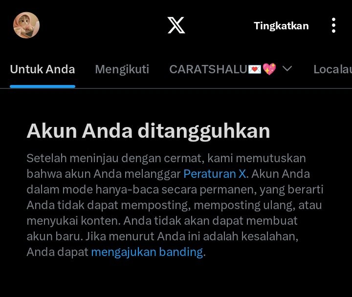 lail🐈‍⬛ tweet media