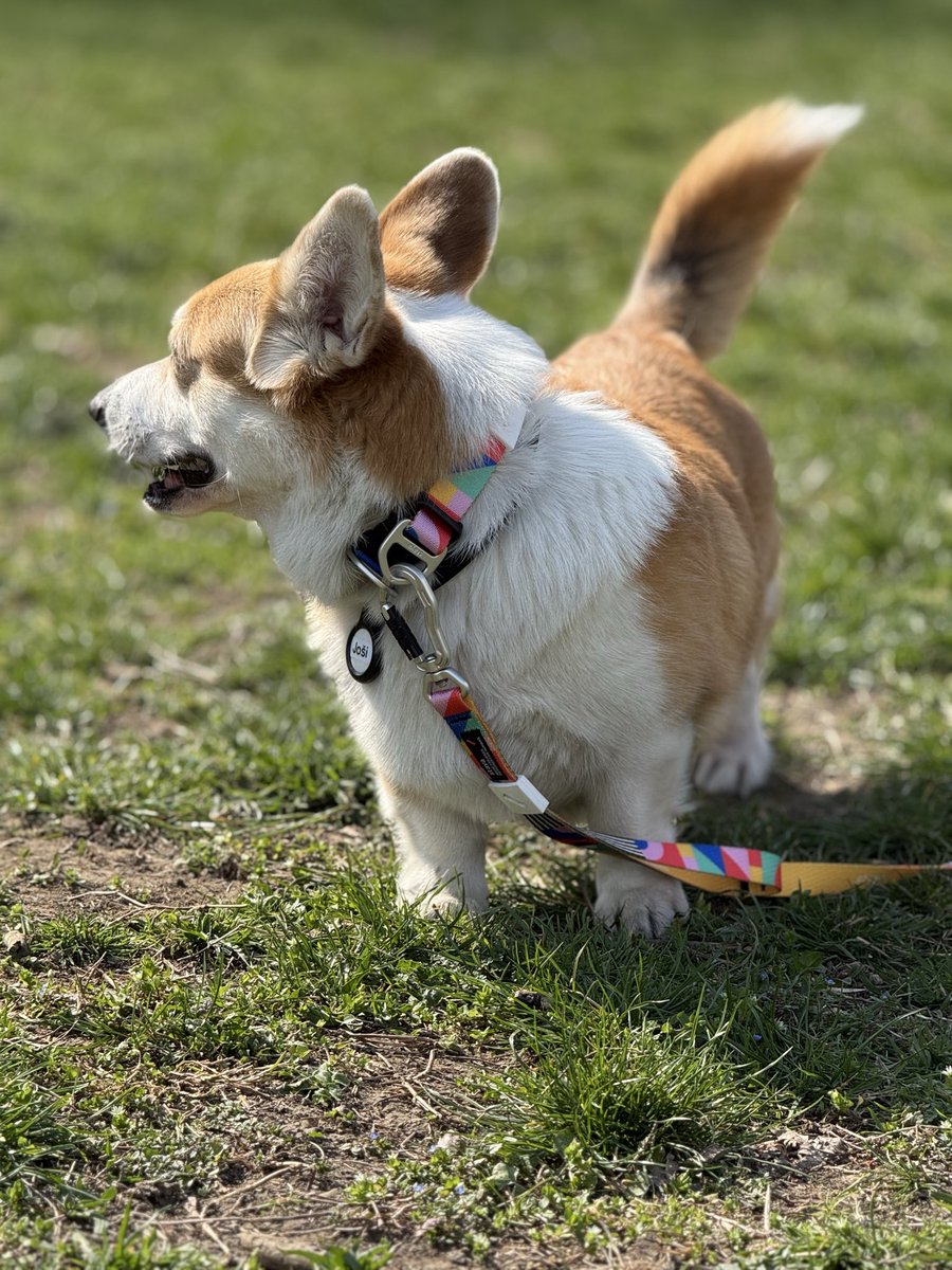 Евгеша tweet media