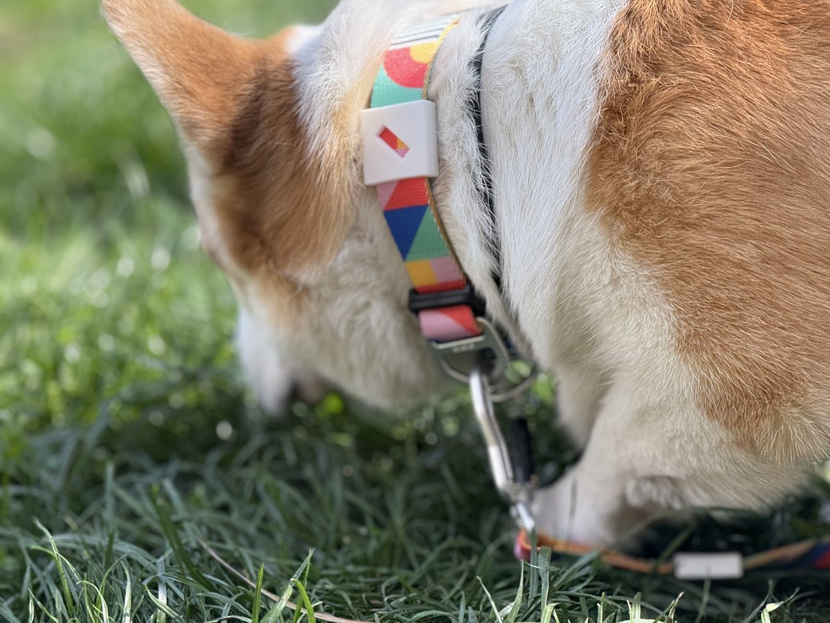 Евгеша tweet media