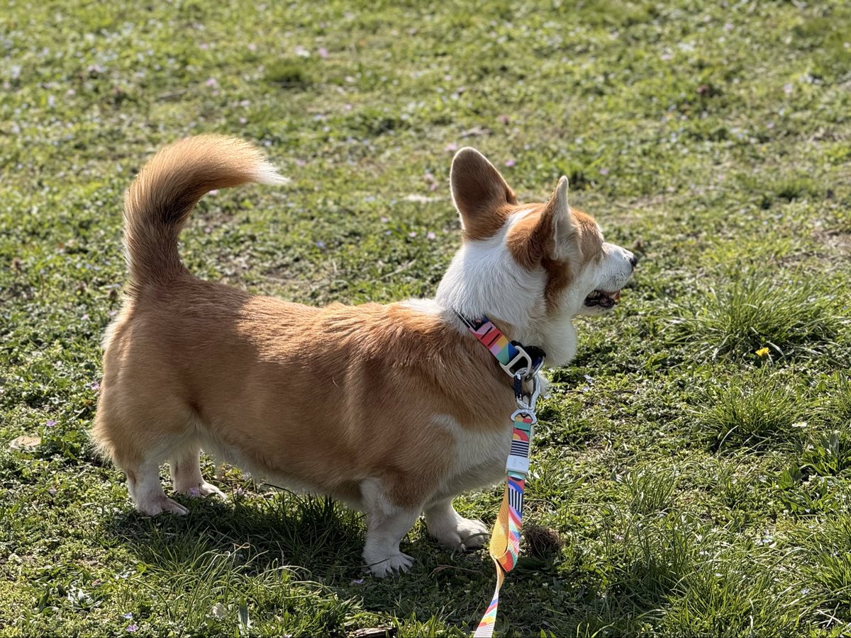 Евгеша tweet media