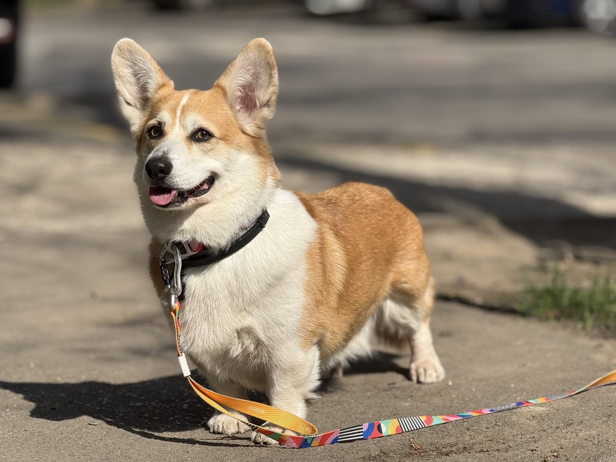 Евгеша tweet media