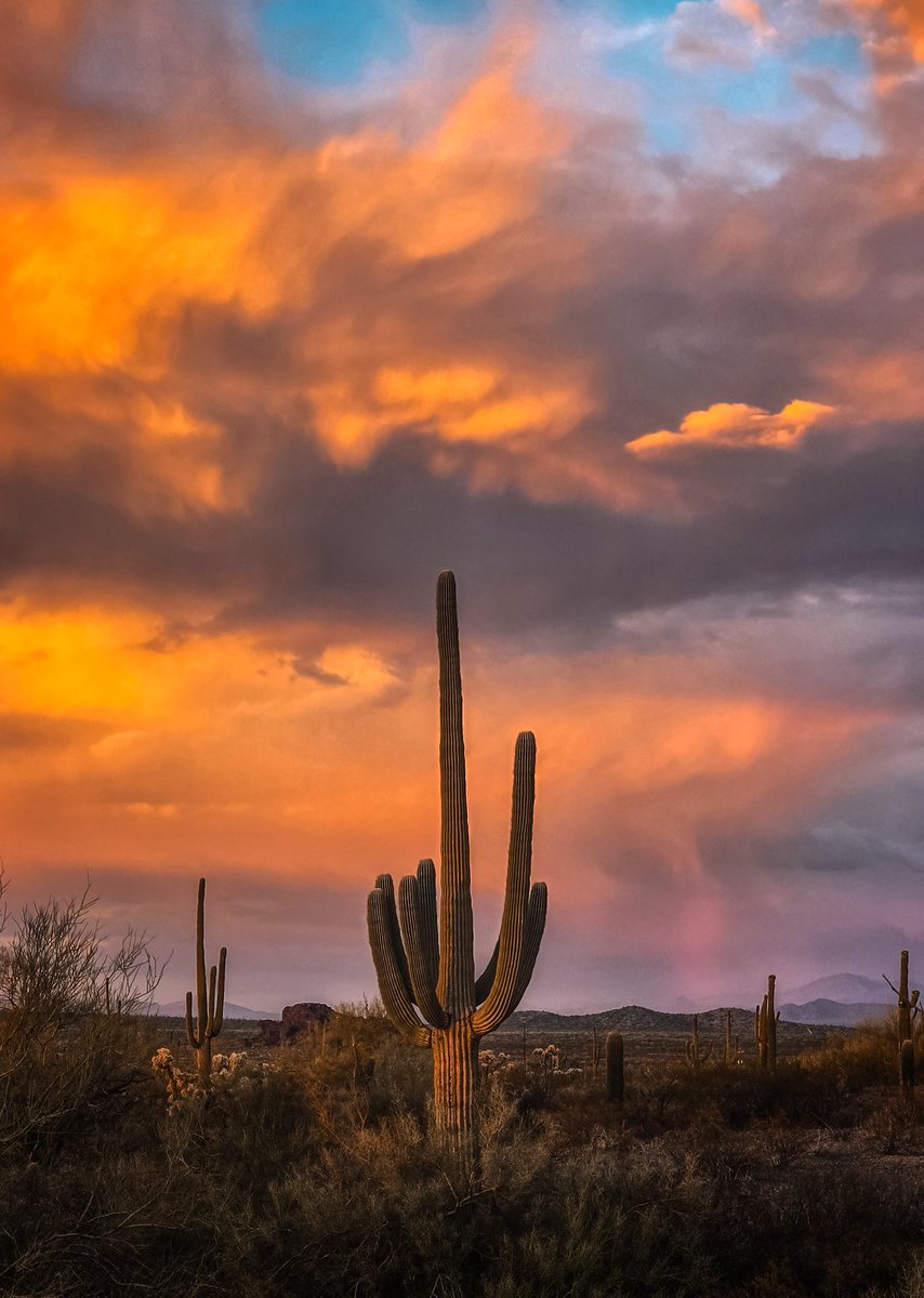 Ken James tweet media