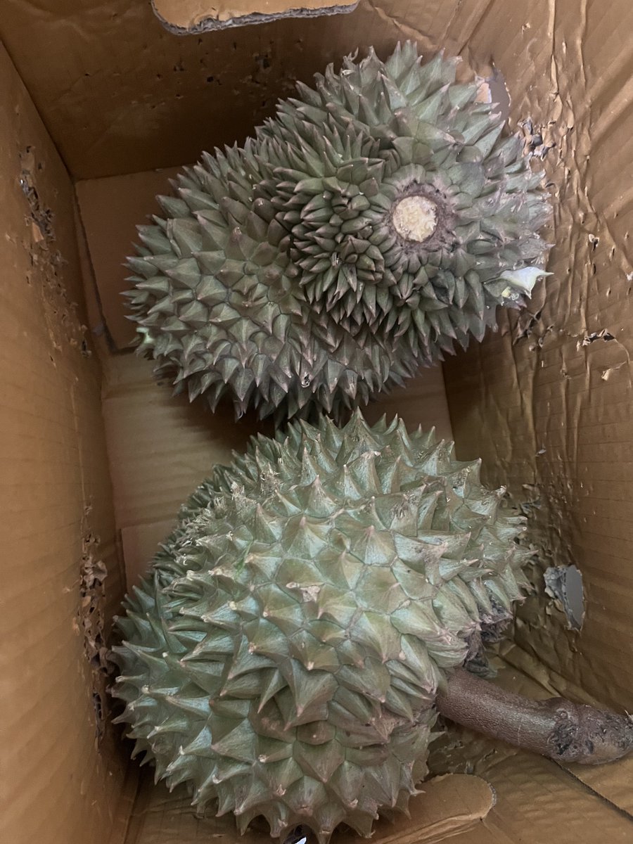 💫ไข่ตุ๋น🐢redGrn ❤️💚จีแดเช🐹🍮 tweet media