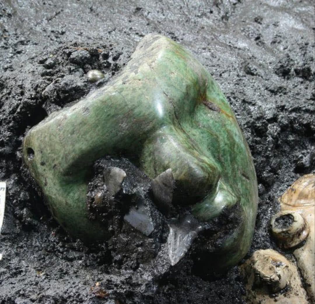 Archaeo - Histories tweet media