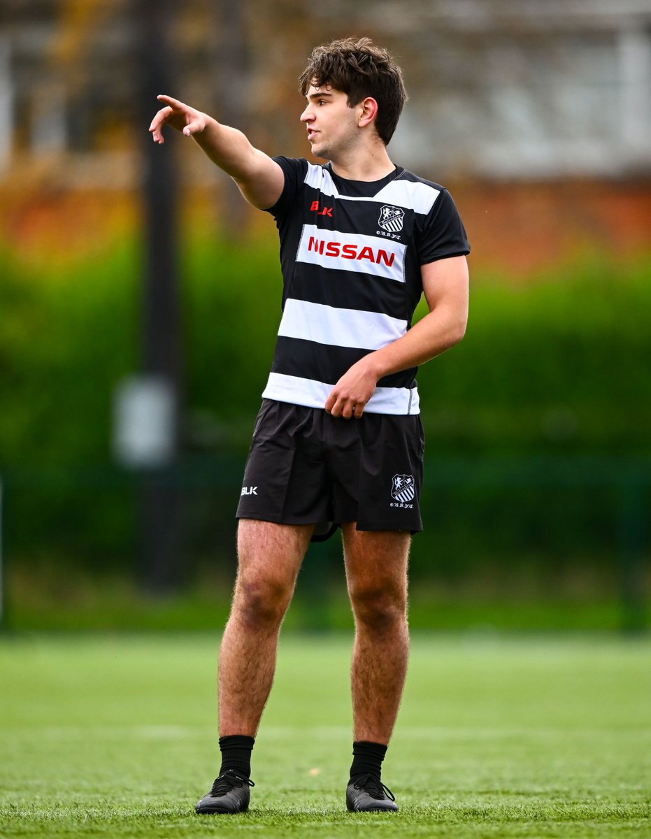 Leinster Domestic tweet media
