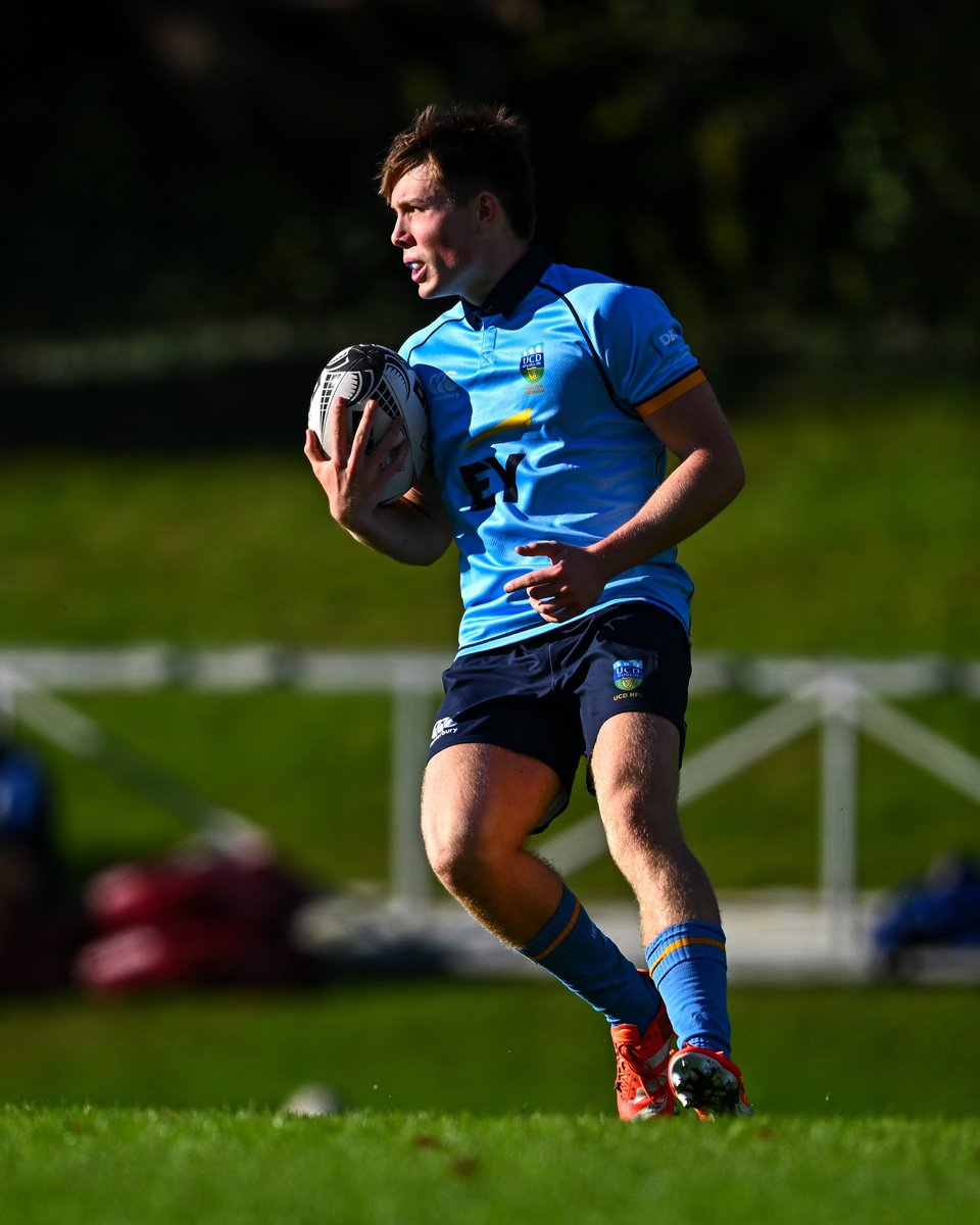Leinster Domestic tweet media