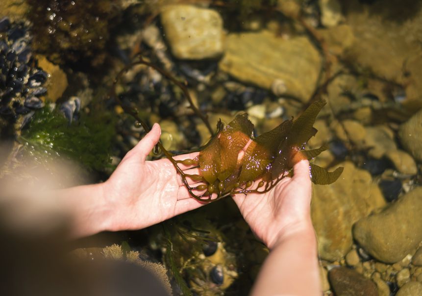 🪸New review shows how reciprocity can reframe human–ocean relationships. Across cultures, reciprocal practices deliver ecological benefits, rely on social institutions, and move beyond the extract/protect divide...

📖 Read the full paper here ➡️ buff.ly/yj3FwQV