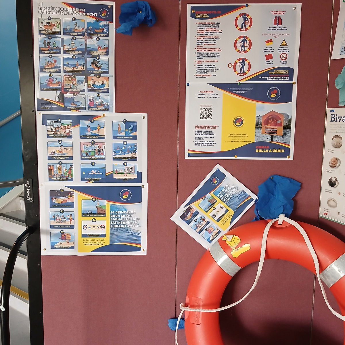 GSBB_Sord's tweet photo. Sábháilteacht Uisce i GSBB inniu!Ghlacamar páirt i Zoom le Andy Hayden ó @WaterSafetyIE  mar chuid de Marine Week.D’fhoghlaim na gasúir scileanna riachtanacha faoin bhfarraige&amp;conas fanacht slán inti.Míle buíochas as an seisiún! 💙 #MarineWeek26 @WaterSafetyIE  @GreenSchoolsIre https://t.co/TWB7cWq5yp