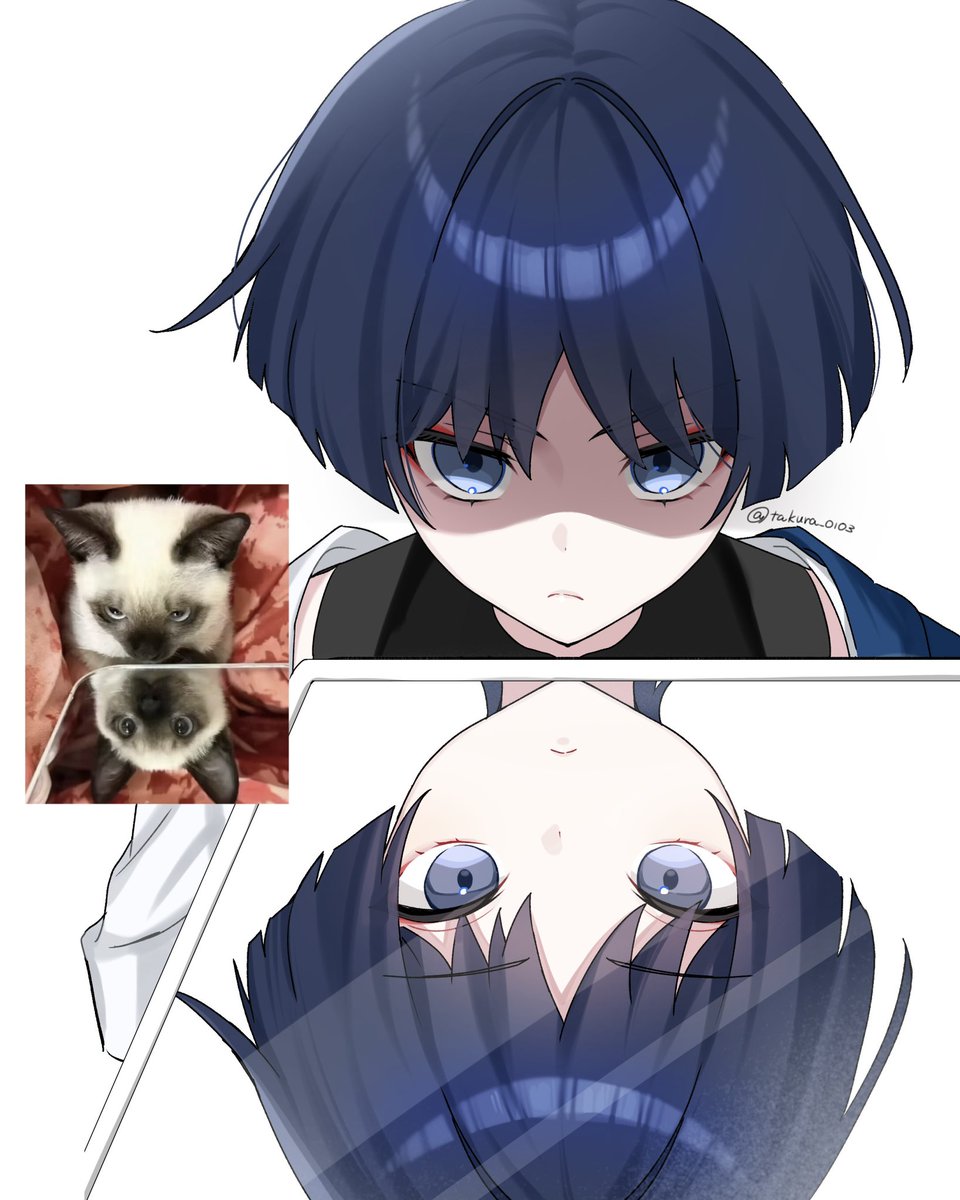 たくら tweet media