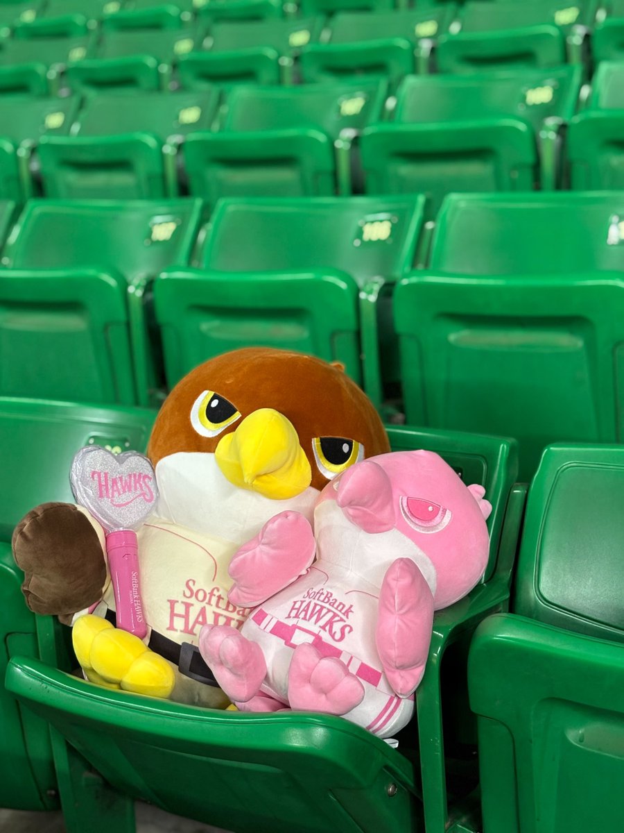 ／
📢 HAWKS STORE 情報
＼

🐥Coming Soon💕

#sbhawks #ホークスグッズ #HAWKSSTORE #ピンクフルデー2026