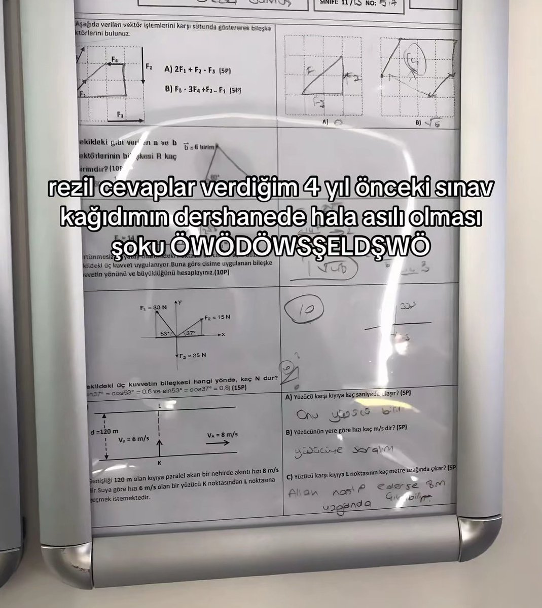 evaaa𓃠 tweet media