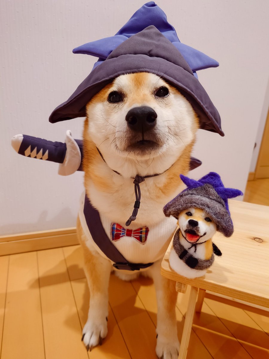 くまにょふ tweet media