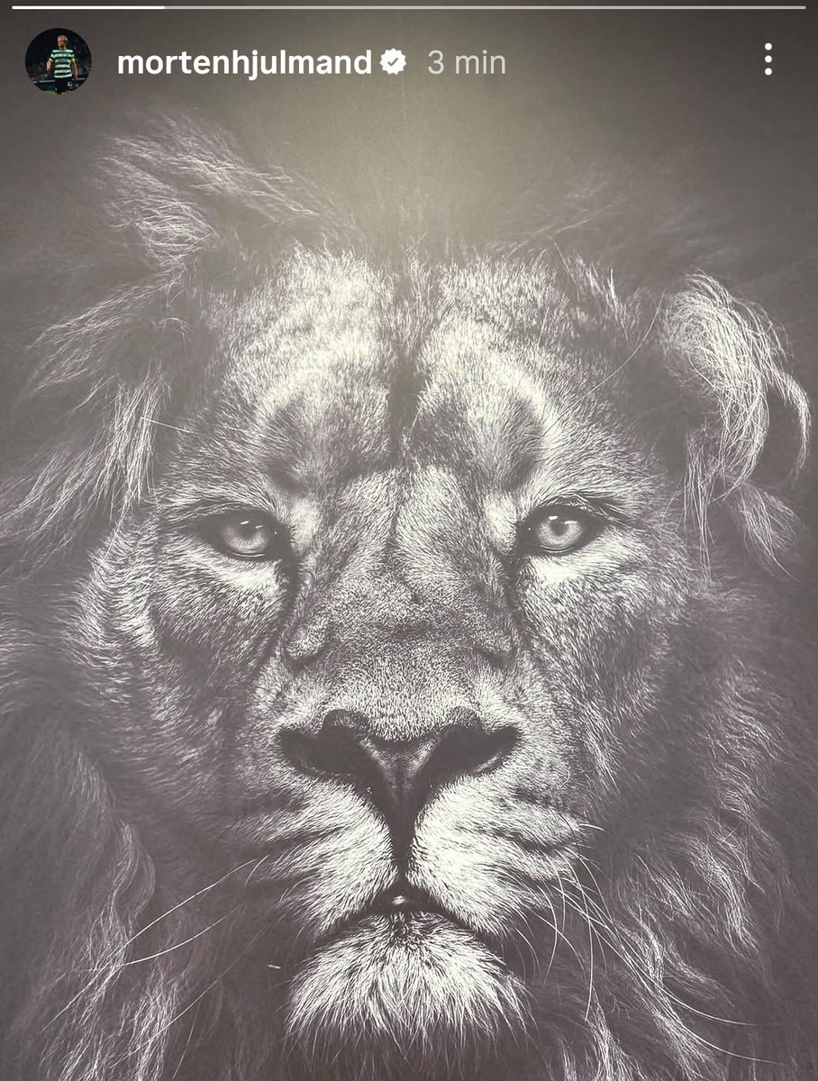 Hjulmand no Instagram: