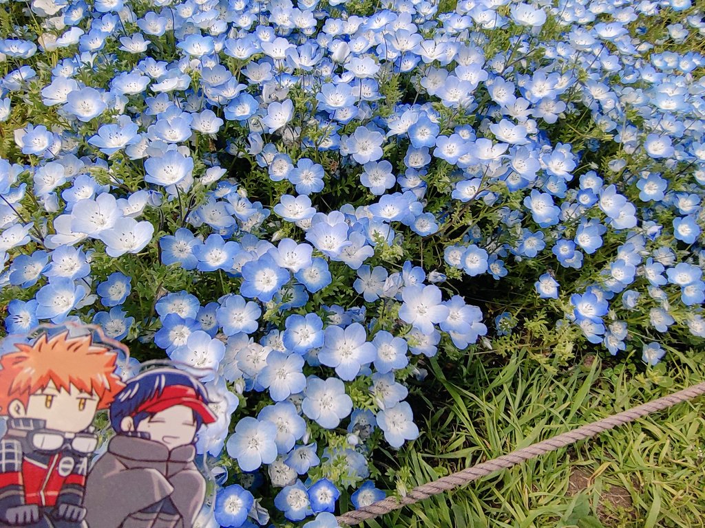 雪駄５号 tweet media