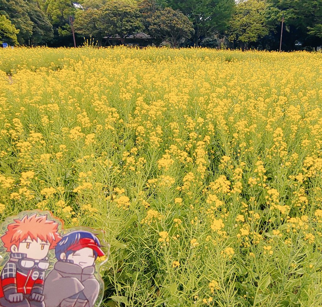 雪駄５号 tweet media