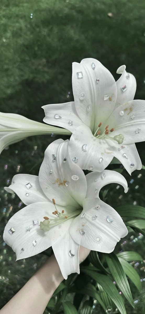 ohmywall app tweet media