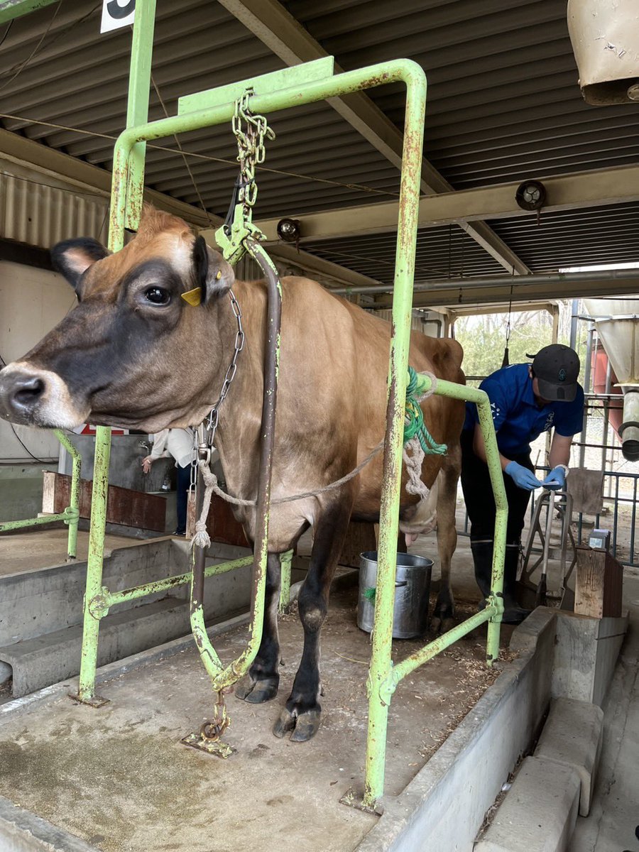 good morning N°５ tweet media