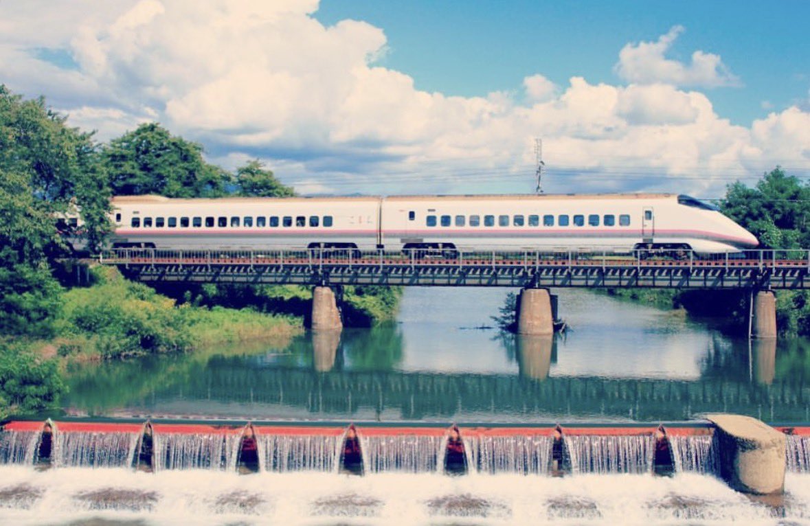 🐟🐟🐟秋こま🐟🐟🐟 tweet media