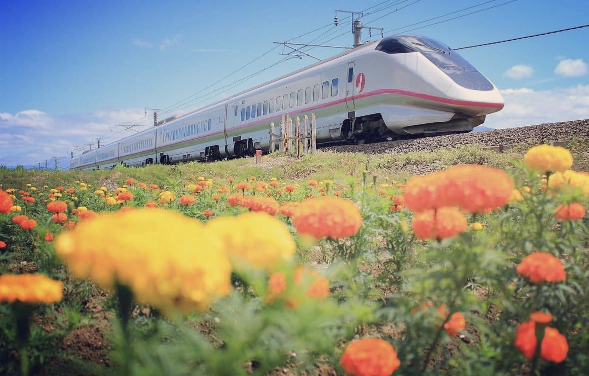 🐟🐟🐟秋こま🐟🐟🐟 tweet media