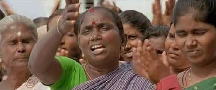 Black cat tweet media