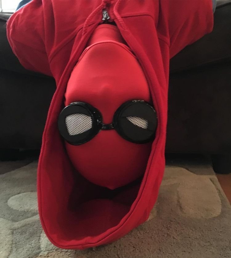 spiderahn's tweet photo. upside down pic https://t.co/Gn1jY7jN4d