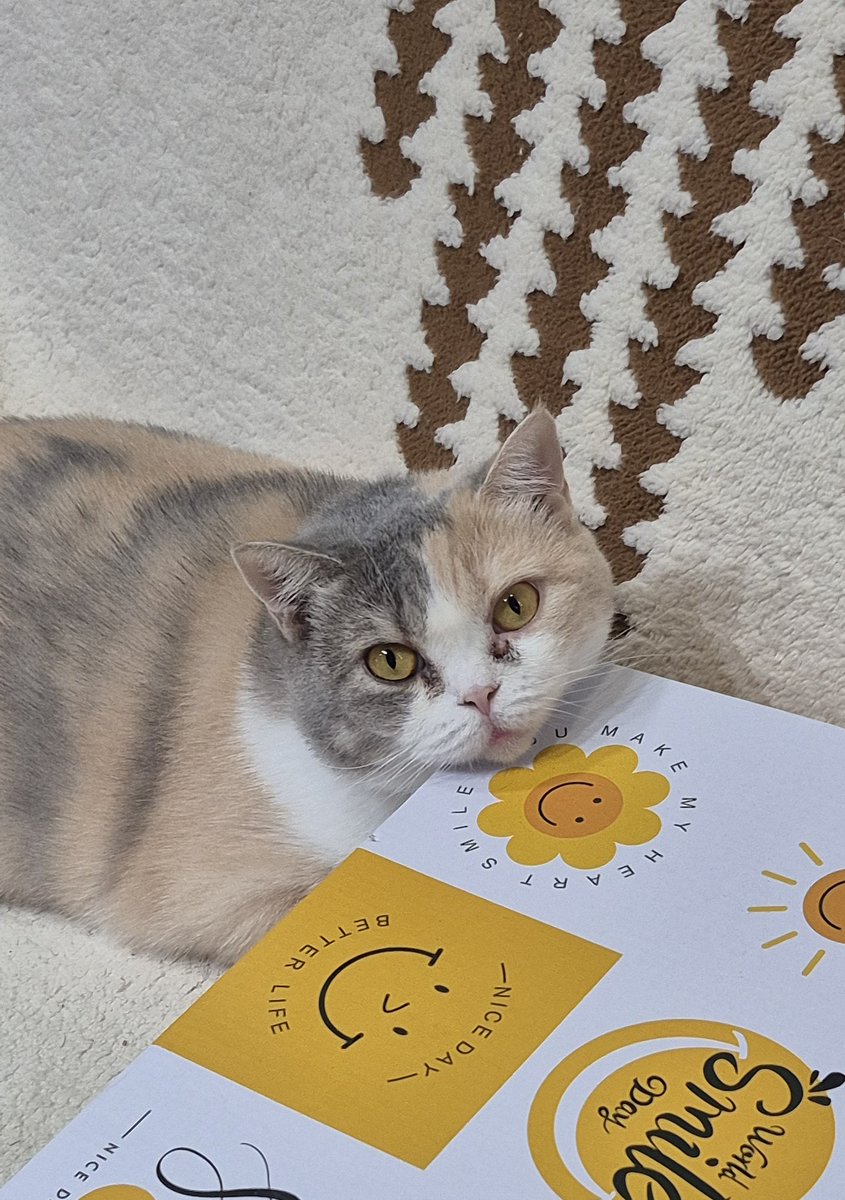 MyBody MyChoice My name is Poison 😁 tweet media