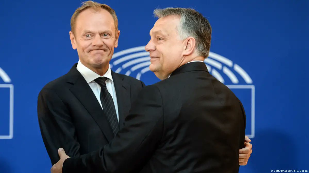 Michał Serwatka tweet media
