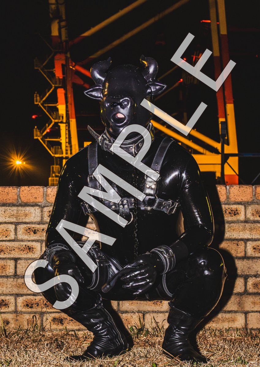 Gol/軽撮部 tweet media