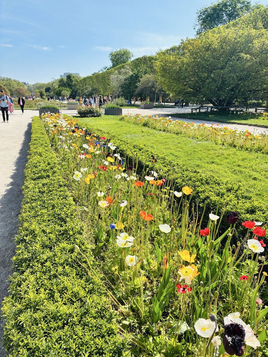 Paris_et_toi's tweet image. パリ植物園から
Bonjour🌷

セーヌ川のわきに位置するパリ植物園では、見事なフランス式花壇が楽しめます😉
このところは気候もよくなり、連日にぎわっているそう。
敷地内には動物園や国立自然史博物館もあります。

#イマパリ　#パリ