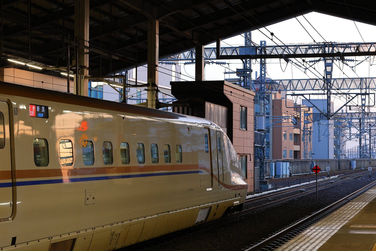 まっきー tweet media