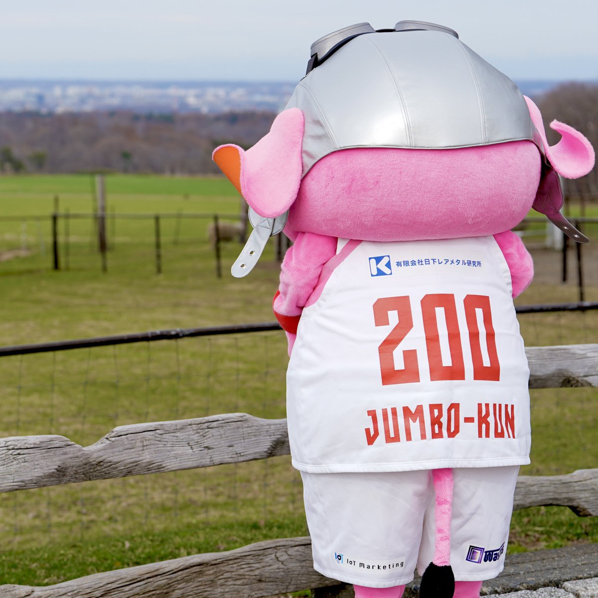 千葉ジェッツふなばし 🛫PAINT IT JETS✨ tweet media