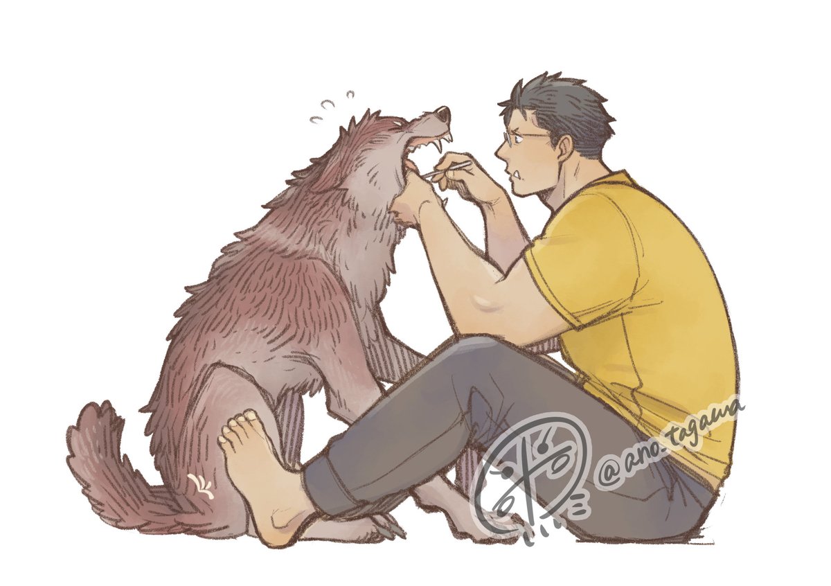 ano_tagawa's tweet photo. 歯磨き🪥🐺 https://t.co/klnccBcrlm