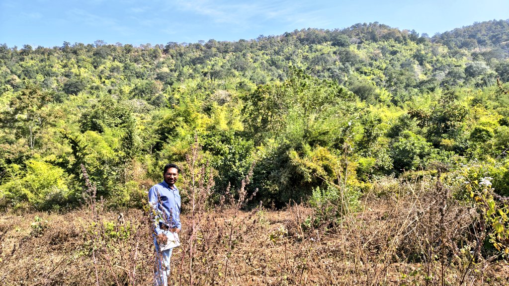 diary_Rural_Kld's tweet image. Visited with rural communities to CFRR-demarcated forest areas and gained practical understanding of bamboo protection, NTFP-based livelihoods, and forest conservation by forest-dwelling communities. #CFRR #FRA #NTFP #Livelihoods