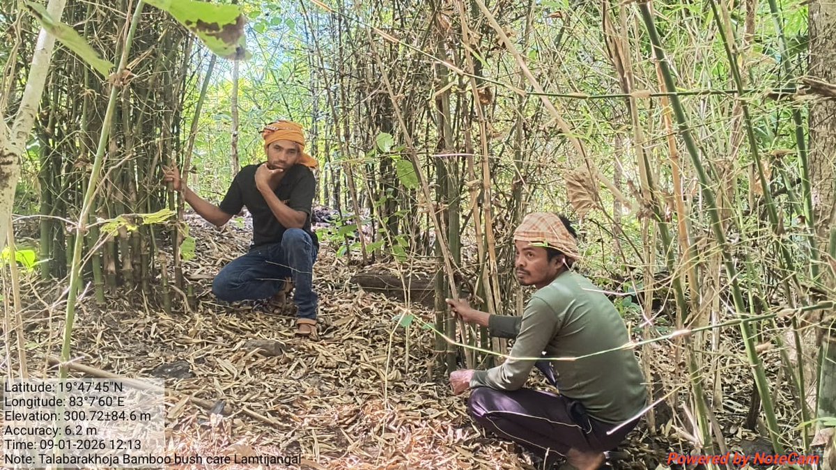diary_Rural_Kld's tweet image. Visited with rural communities to CFRR-demarcated forest areas and gained practical understanding of bamboo protection, NTFP-based livelihoods, and forest conservation by forest-dwelling communities. #CFRR #FRA #NTFP #Livelihoods
