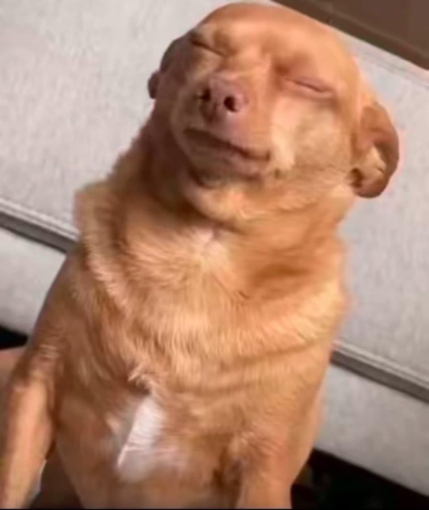 Professor X🧠 tweet media