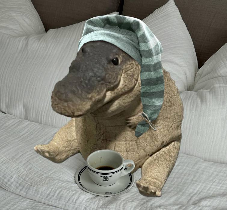 Gomux 🐊 tweet media