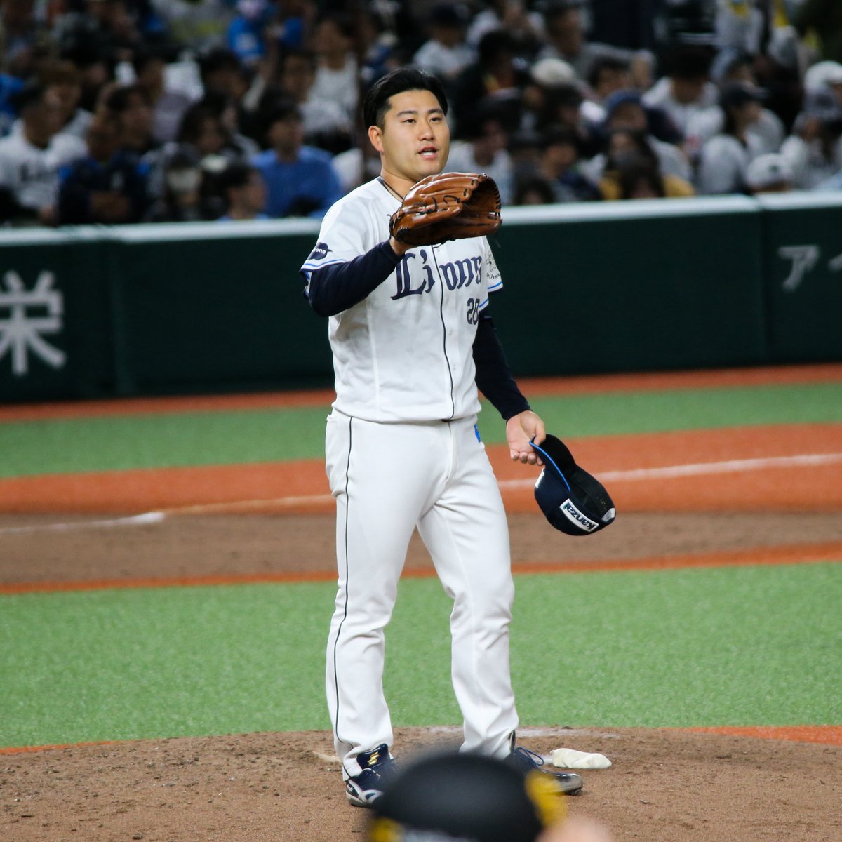 𝔇𝔒𝔄𝔑 ⚾️ tweet media