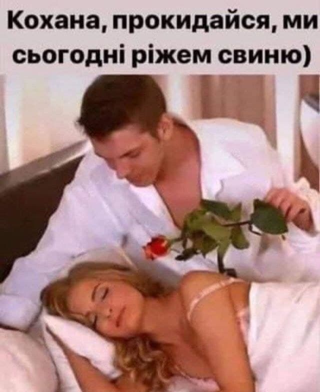 сирий дерун tweet media