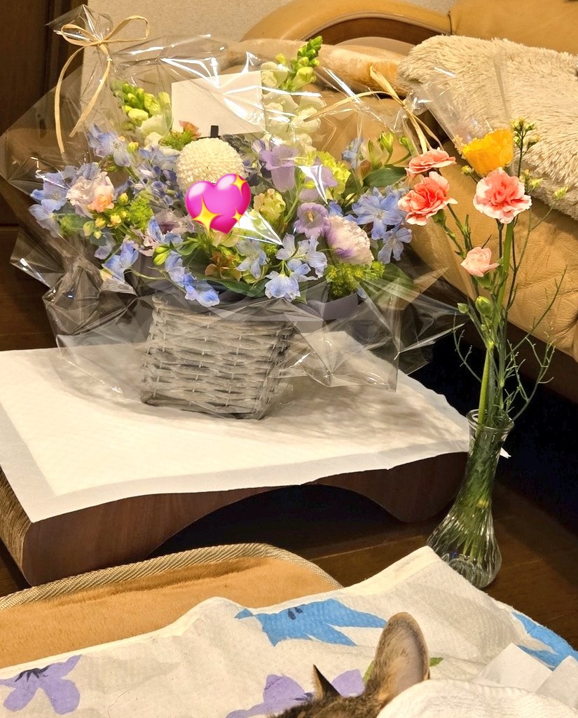 サフラン tweet media