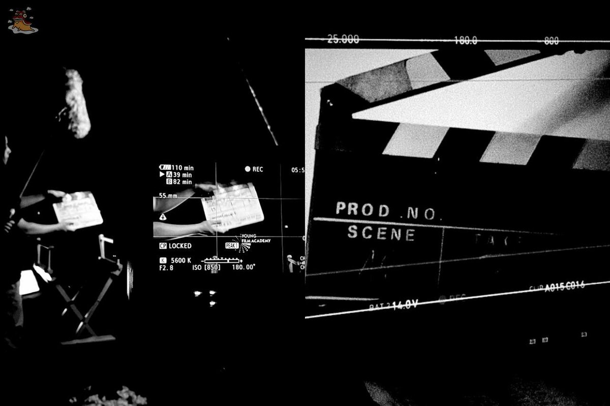 SOC-IE 💛 ˚☽˚.⋆ tweet media