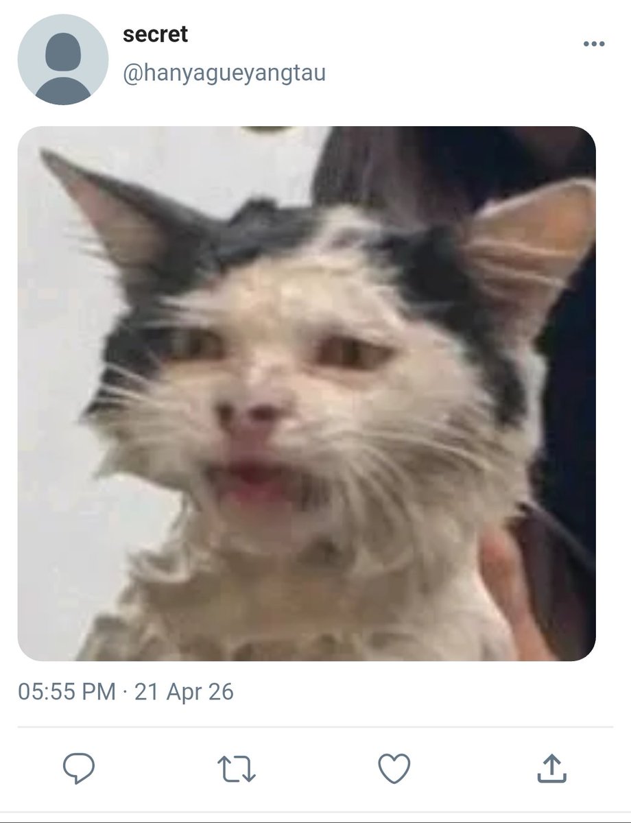 𝐋𝐈ꪜA• 𓇗 tweet media